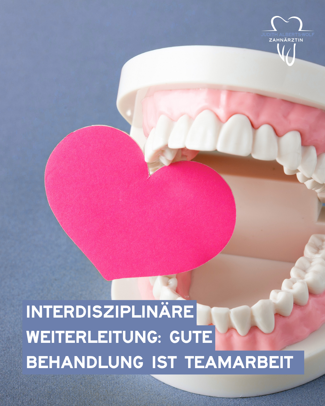Auf dem Bild sieht man einen Kiefer Modell in Form eines Prototypen. Der Kiefer ist leicht geöffnet und zwischen den Zänen klemmt ein rosa Herz. Der Hintergrund ist blau. Symbolisch für Interdisziplinäre Weiterleitung: Zahnmedizin ist Teamarbeit.